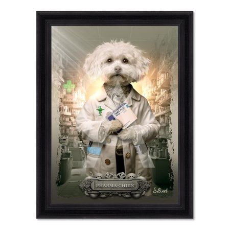 pharma-chien-sylvain-binet-maison-et-cadeaux